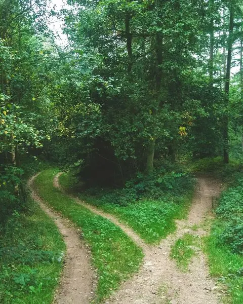 Jens-lelie-u0vgcioqg08-unsplash