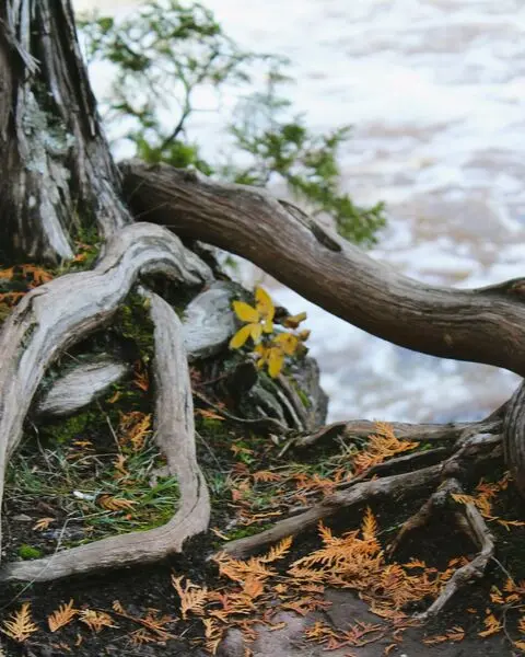 Amal-ben-saad-d1mgsvanjb8-unsplash